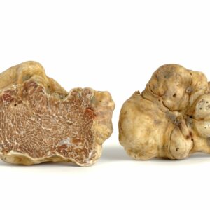 White Truffle