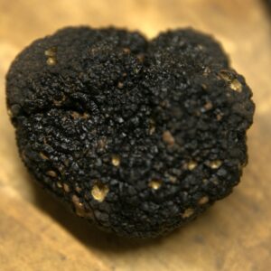 Black Summer Truffle